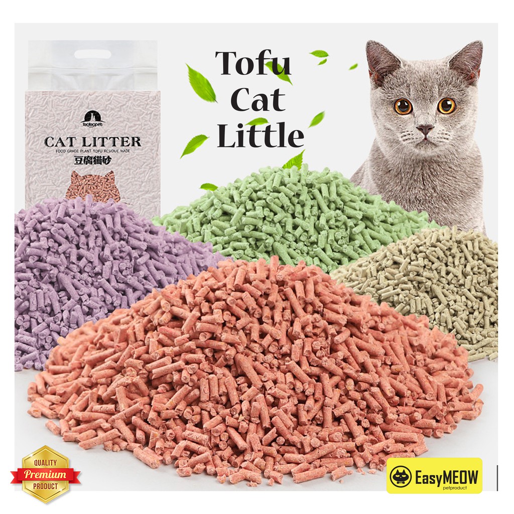 Tofu cat best sale