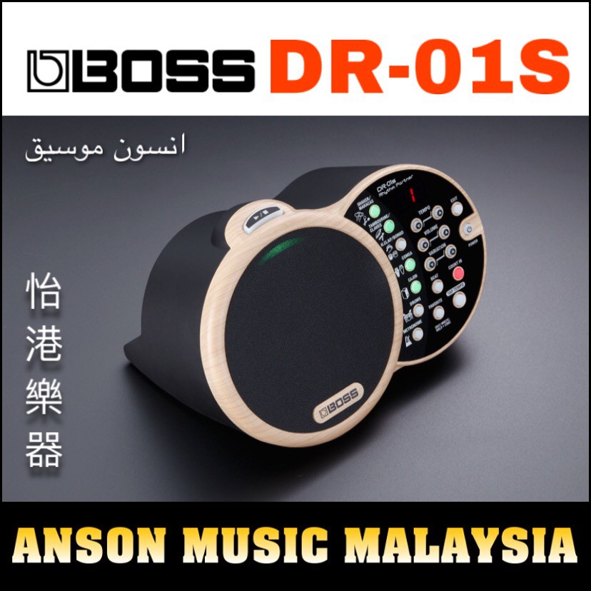 Boss DR-01S Rhythm Partner (DR01S) | Shopee Malaysia