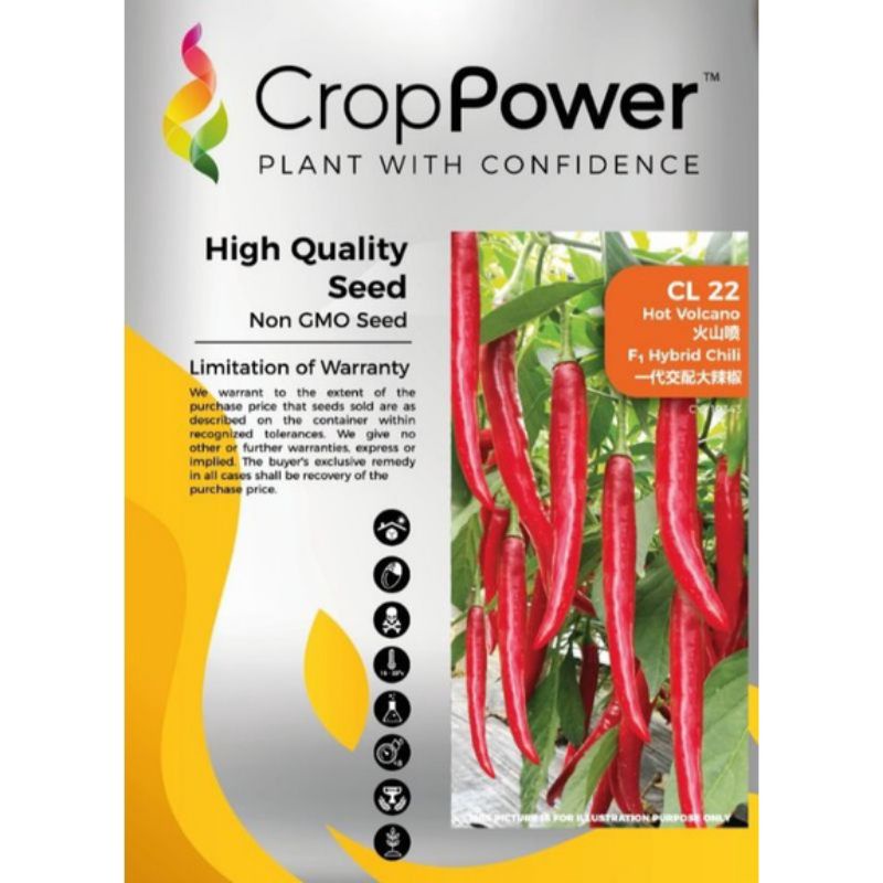 Benih Cili Besar Hot Volcano F1 Hybrid Seeds Shopee Malaysia