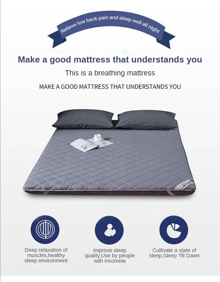 Queen King Size Protection Sponge Tatami Mattress protector Thick