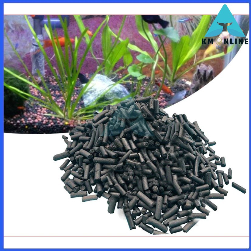 Best Carbon Filter For Aquarium 2022 Mountain Tree