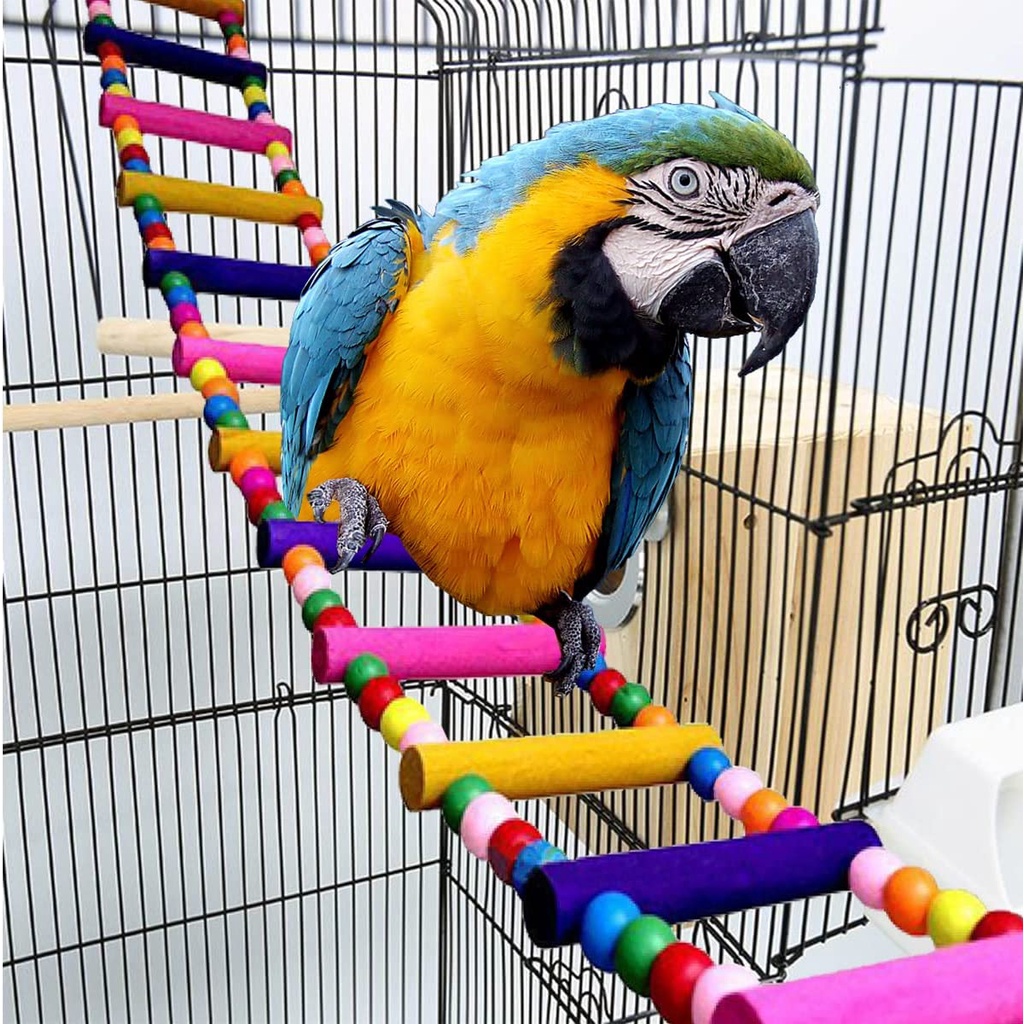 View of Bird Parrot Toys Ladders Swing Chewing Toys Hanging Pet Bird Cage ...