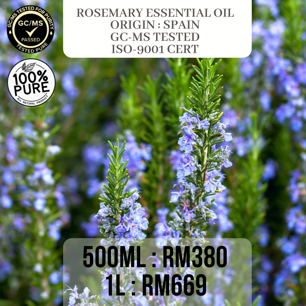 100 Rosemary Essential oil (Spain) Shopee Malaysia