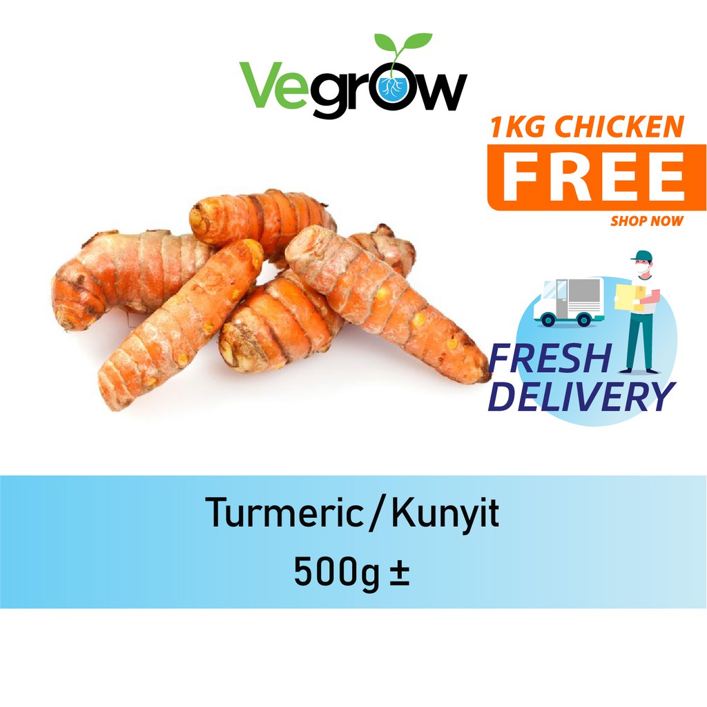 🔥FRESH 🔥Turmeric / Kunyit 500g +- | Shopee Malaysia