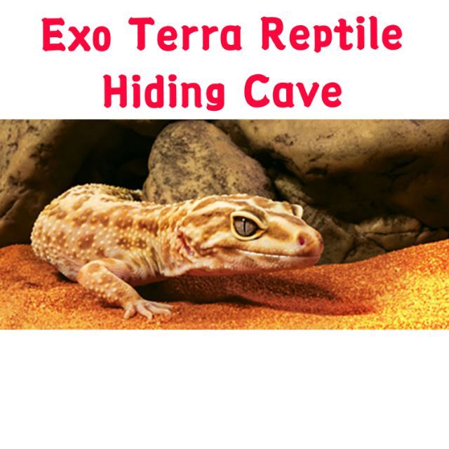 Exo terra Reptile hiding cave S/M/L Size hide out PT2931 natural rock ...