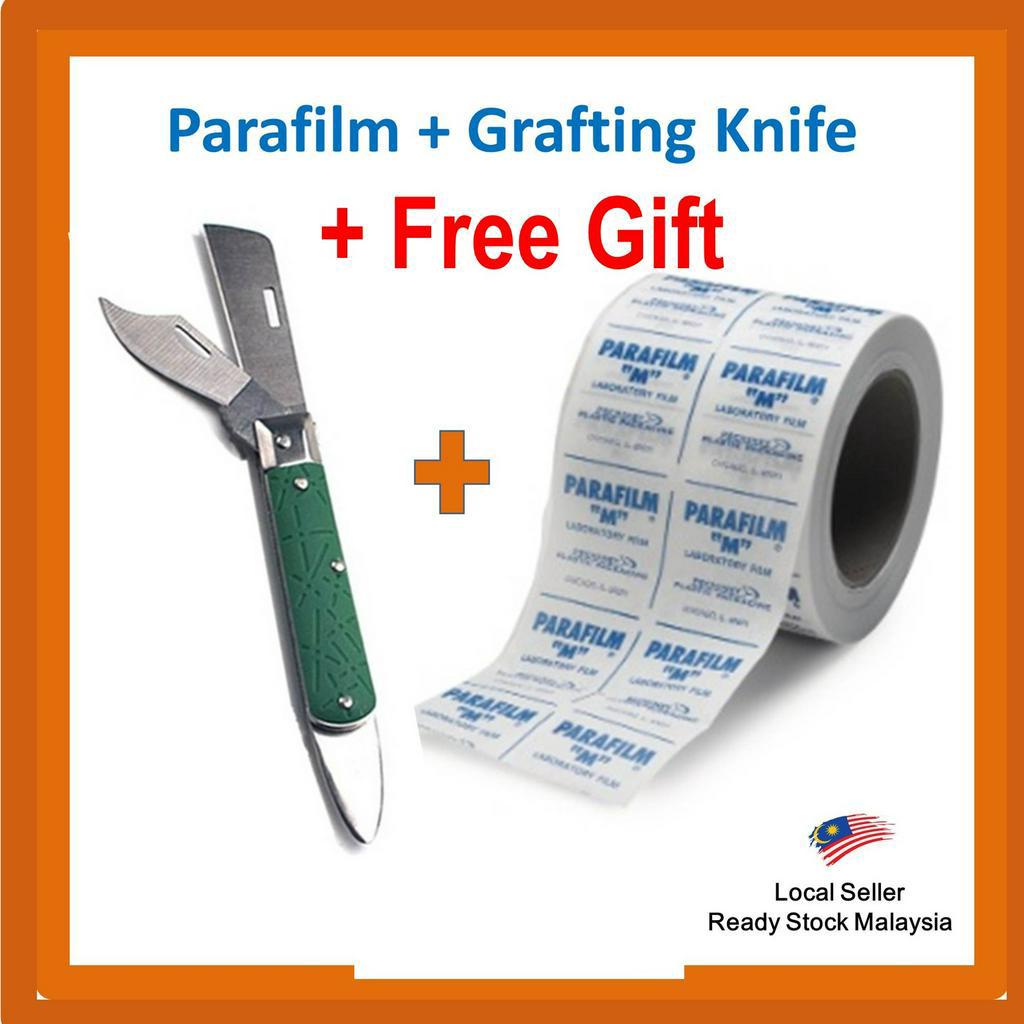Parafilm 4" Width x 5ft / 10ft / Laboratory Film / Grafting Tape