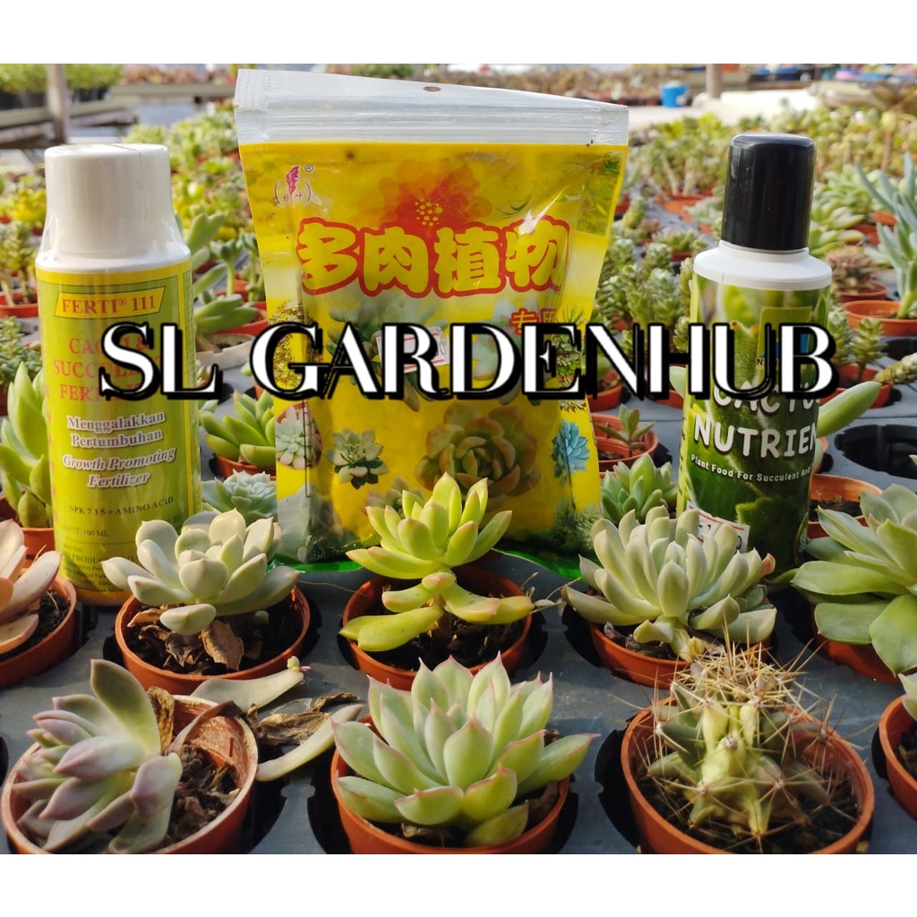 Cactus Succulent Fertilizer Shopee Malaysia