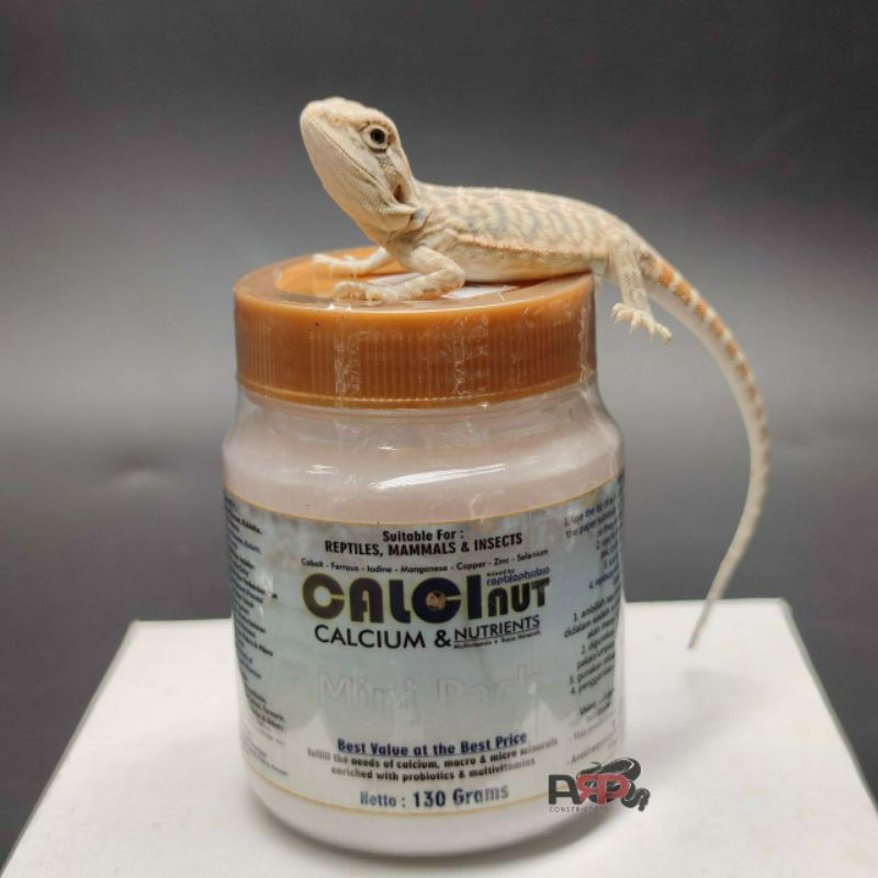 Calcinut Reptile Calcium Supplier with Vitamins and Probiotic Calcinut ...