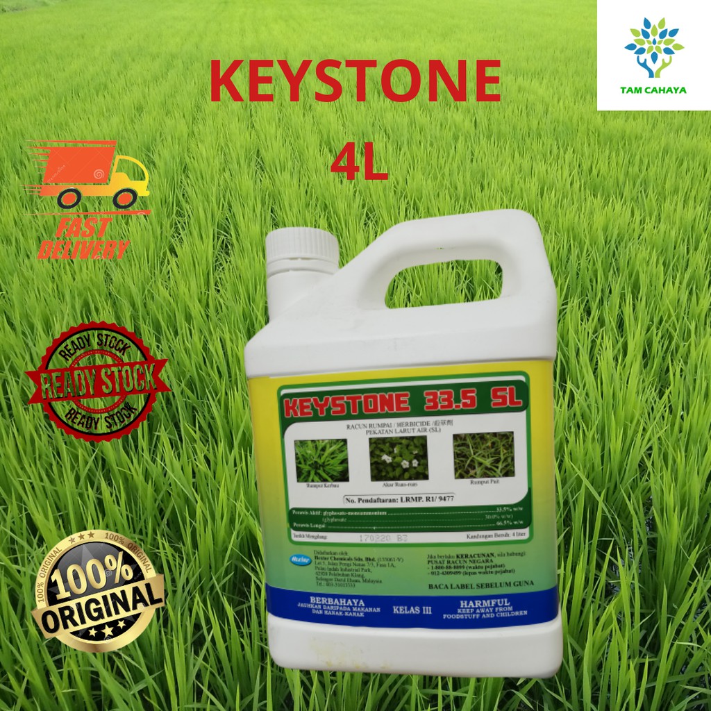 4Liter KEYSTONE ( Sama Dengan Ammo Supre) 33.5SL Glyphosate 33.5% Racun ...