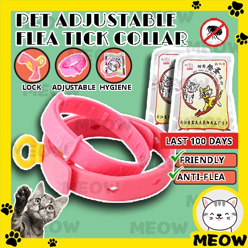 Anti meow clearance collar