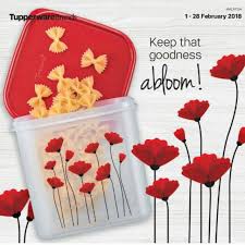 TUPPERWARE RED POPPY GARDEN MODULAR MATES 4L (1pc) | Shopee Malaysia