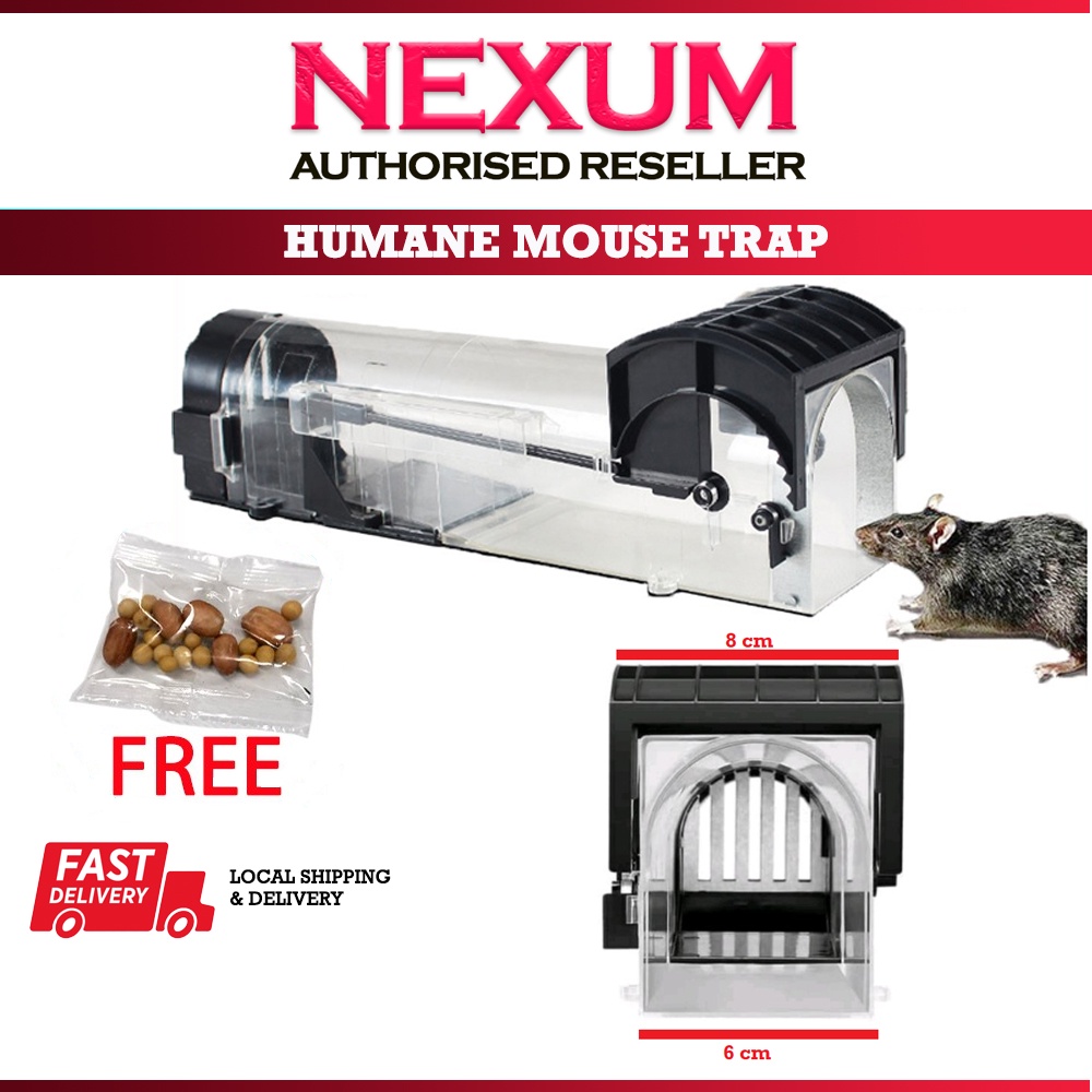 Perangkap Tikus Mice Rat Rodent Reuseable Sensitive Mouse Trap Cage ...