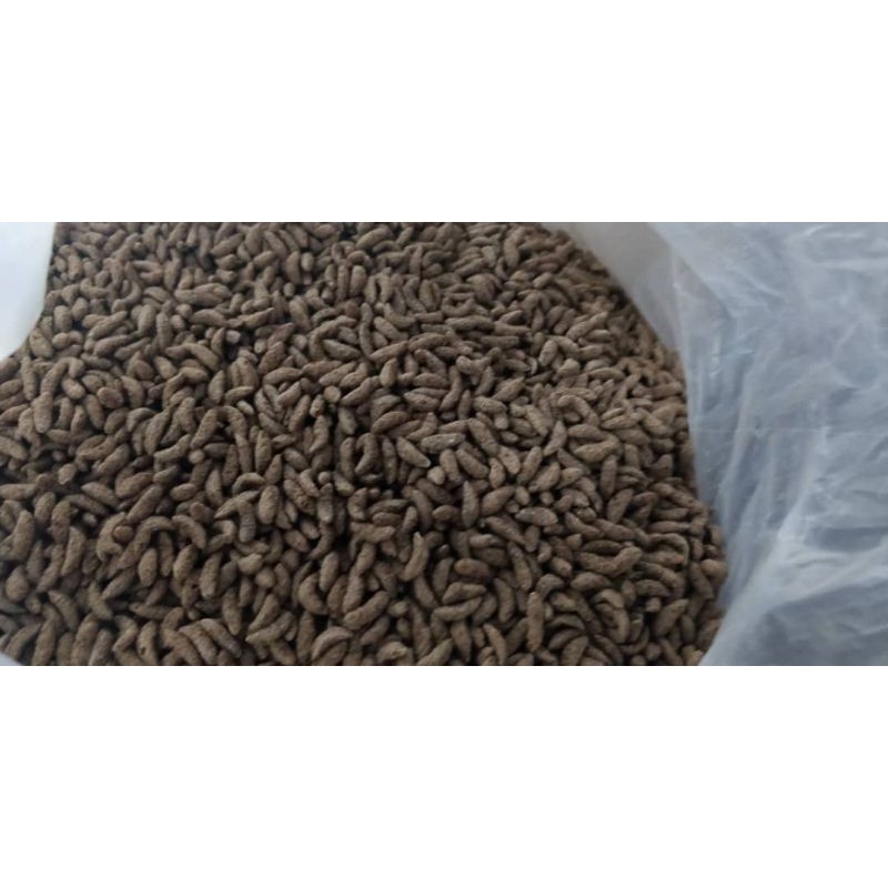bubble rice cocoa (1kg) | Shopee Malaysia
