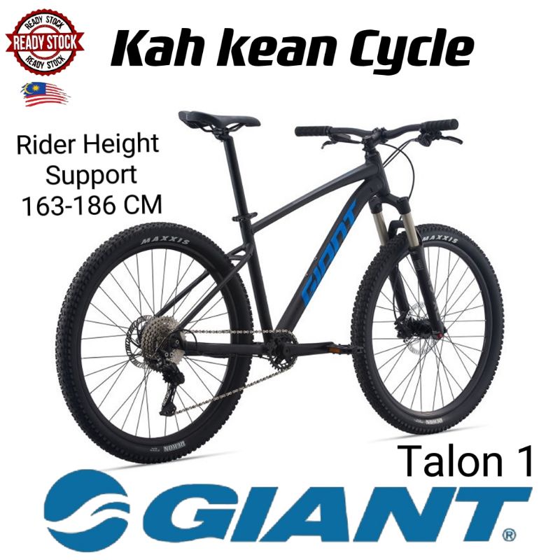 Giant 10 speed online bike