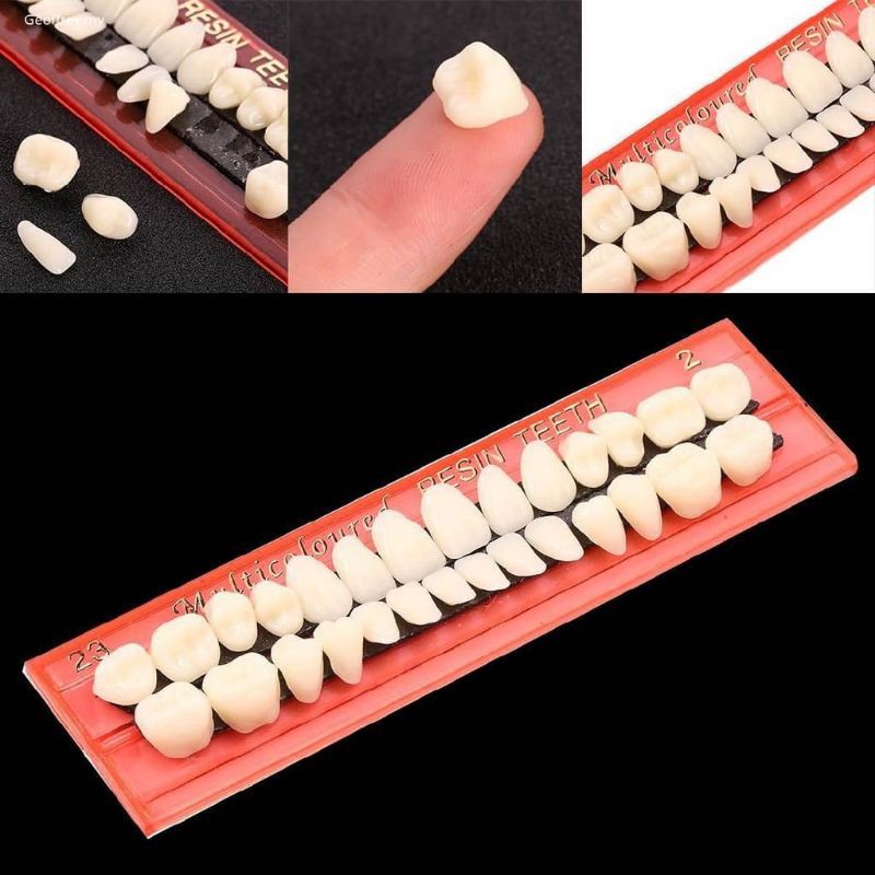 Be Acrylic Resin Denture Teeth Upper Lower Shade Dentures Dental