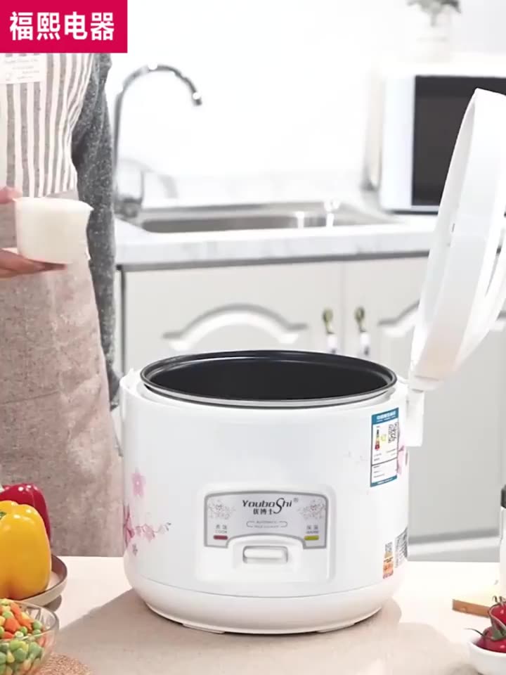 Singer Electric Multifunctional Rice Cooker Conventional Rice Cooker ...