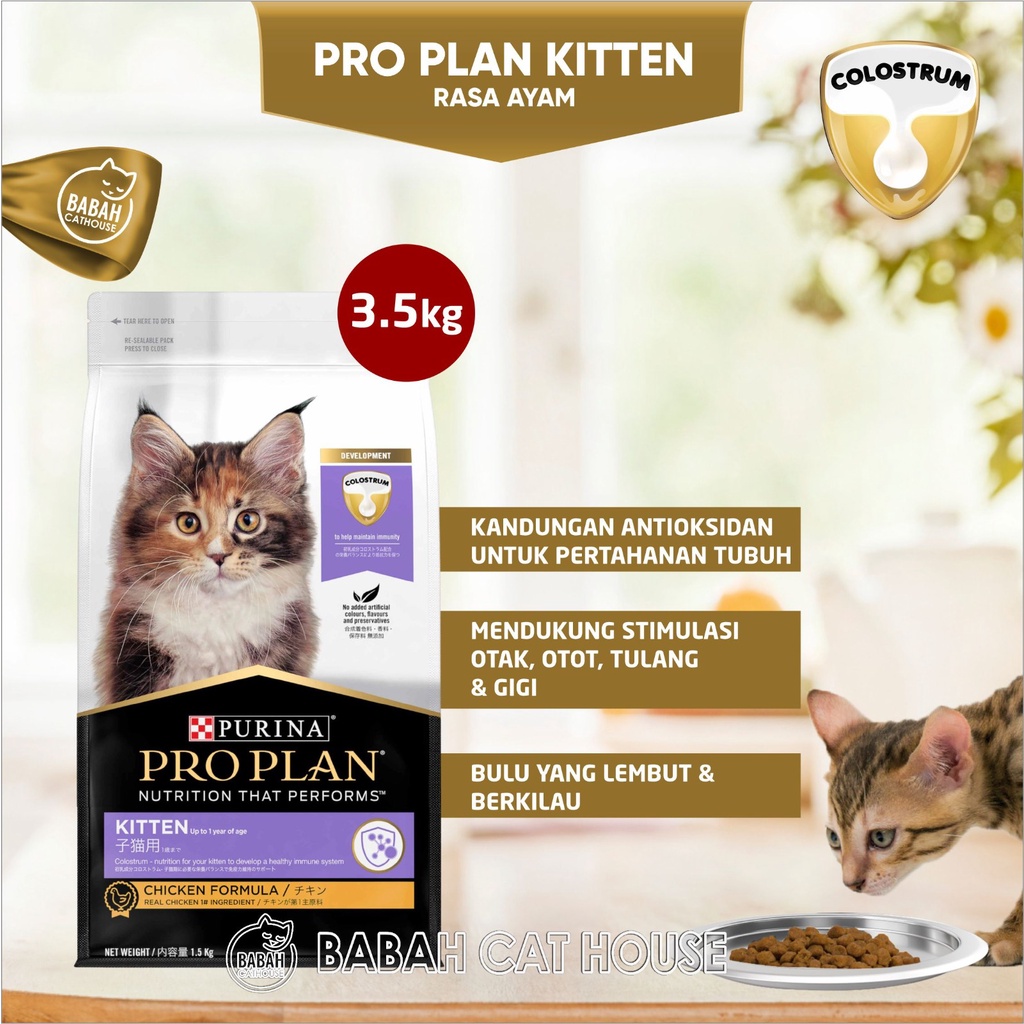 3.5kg ProPlan KITTEN CHICKEN KITTEN Food Pro Plan Cat Dry Food Appetite