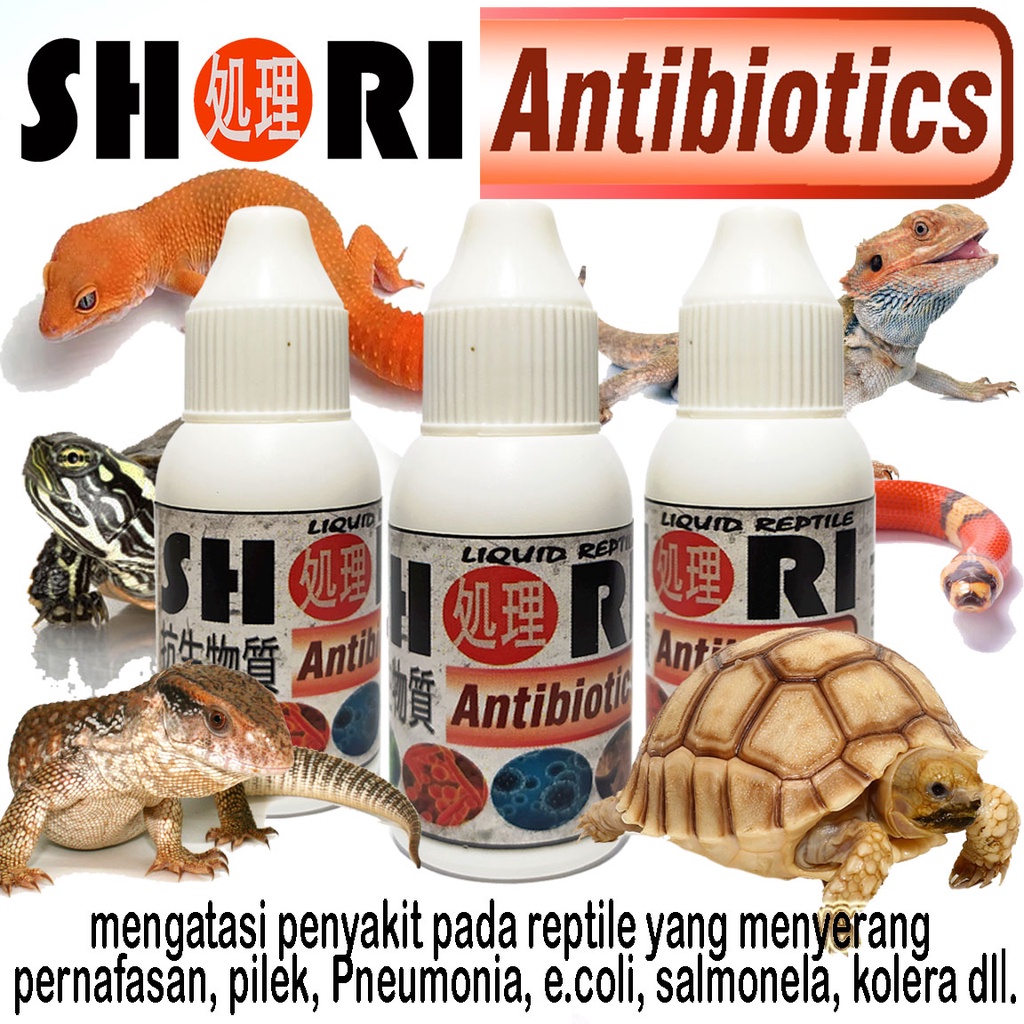 Shori Antibiotic REPTILE VITAMIN Supplement Health Treatment TORTOISE