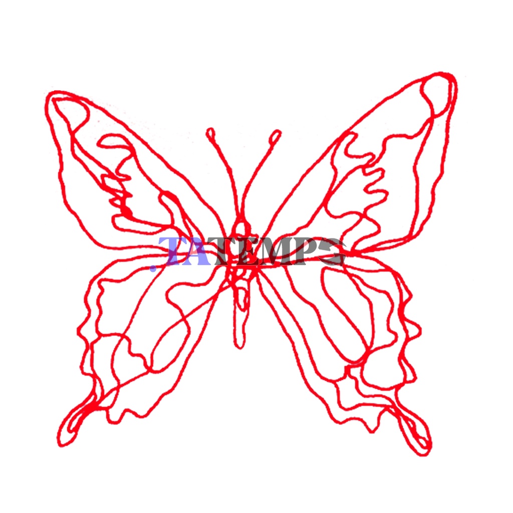 Tatempo Temporary Tattoo BUTTERFLY/SONG KANG/PARK JAE EON/SHAWN MENDES/YOO NA BI/BUTTERFLY