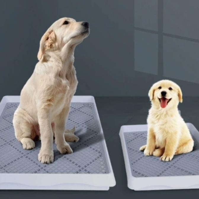 Large Dog potty tray/toilet Dog/Dog potty tray/toilet pet Shopee Malaysia