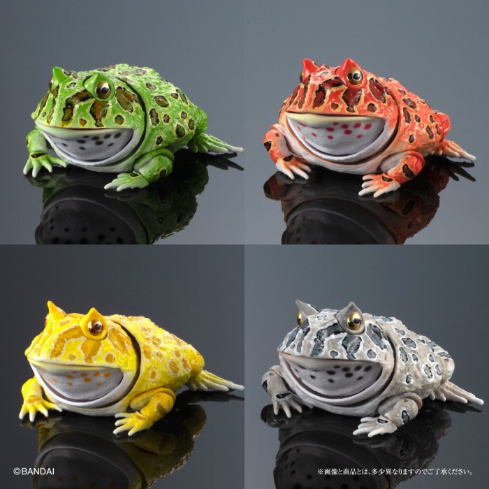 Hot Frog Pacman Horned Frog Gashapon Gacha Bandai Dangomushi Frog Shopee Malaysia