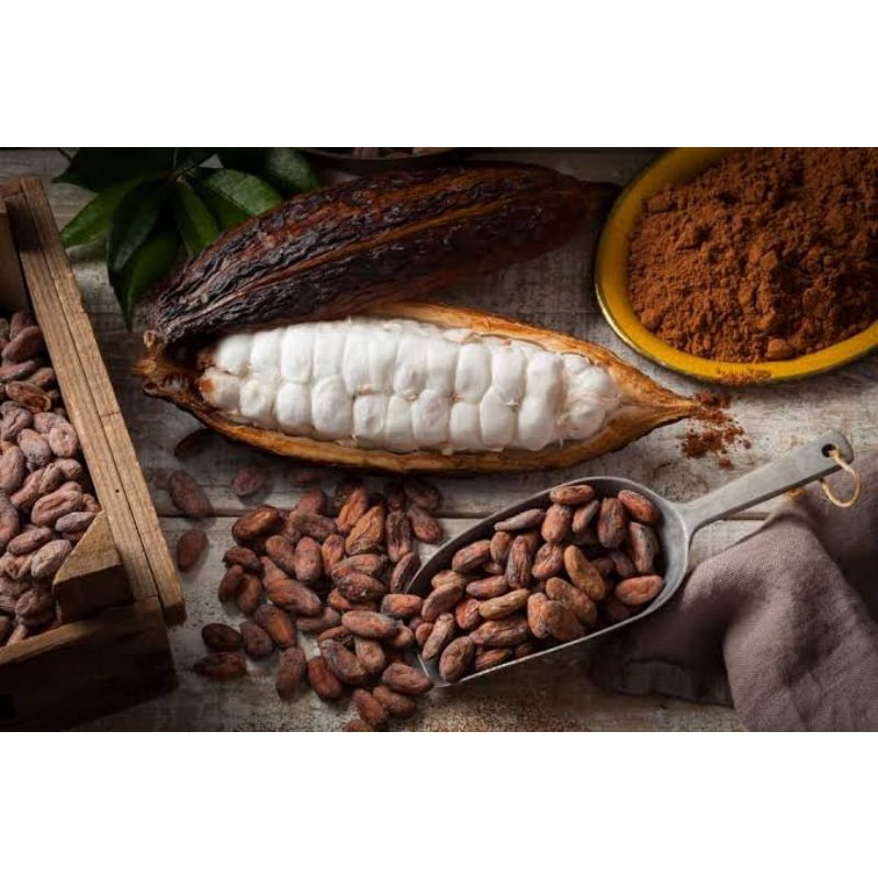 Original Cocoa Dried Chocolate Seeds Weighing 1kg | Shopee Malaysia