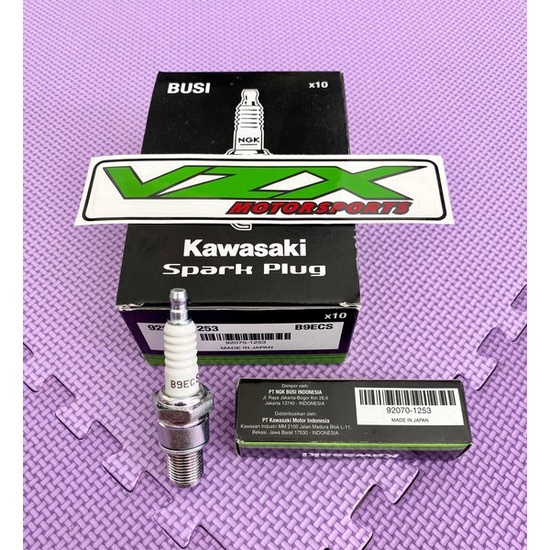 NGK [AFH] Spark Plug B 9 ECS Ninja Spark Plug 2 Stroke 150 R SS RR KRR ...