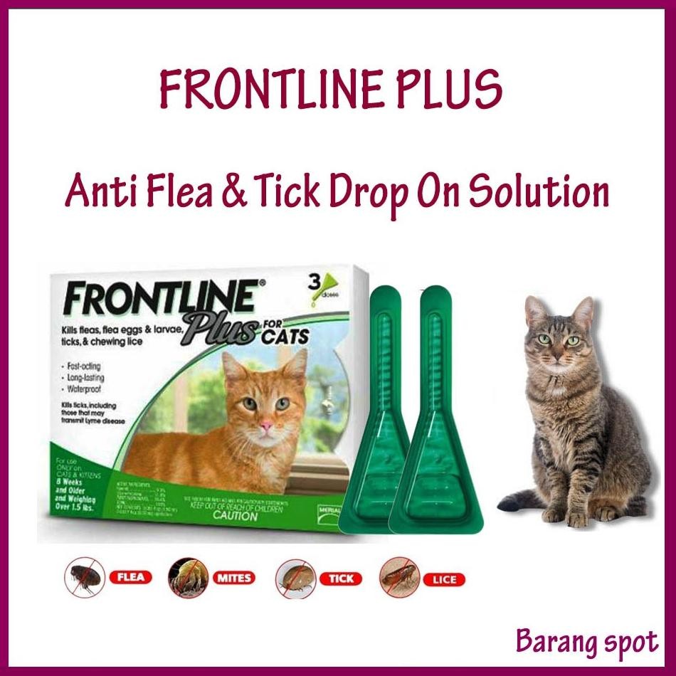 Original Frontline Plus Cat Flea Drops (1 Tube/Pipet) in Latest Stock ...