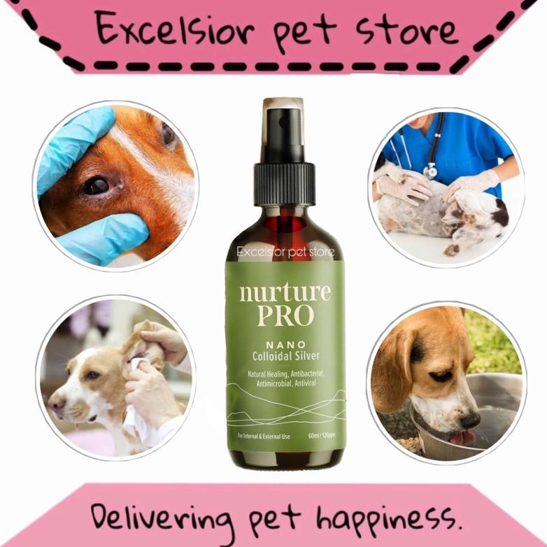 Shopping Medicine Spray Fungus/Itching/Dog Infection. Colloidal Silver 120Ml Jbt Shopee Malaysia