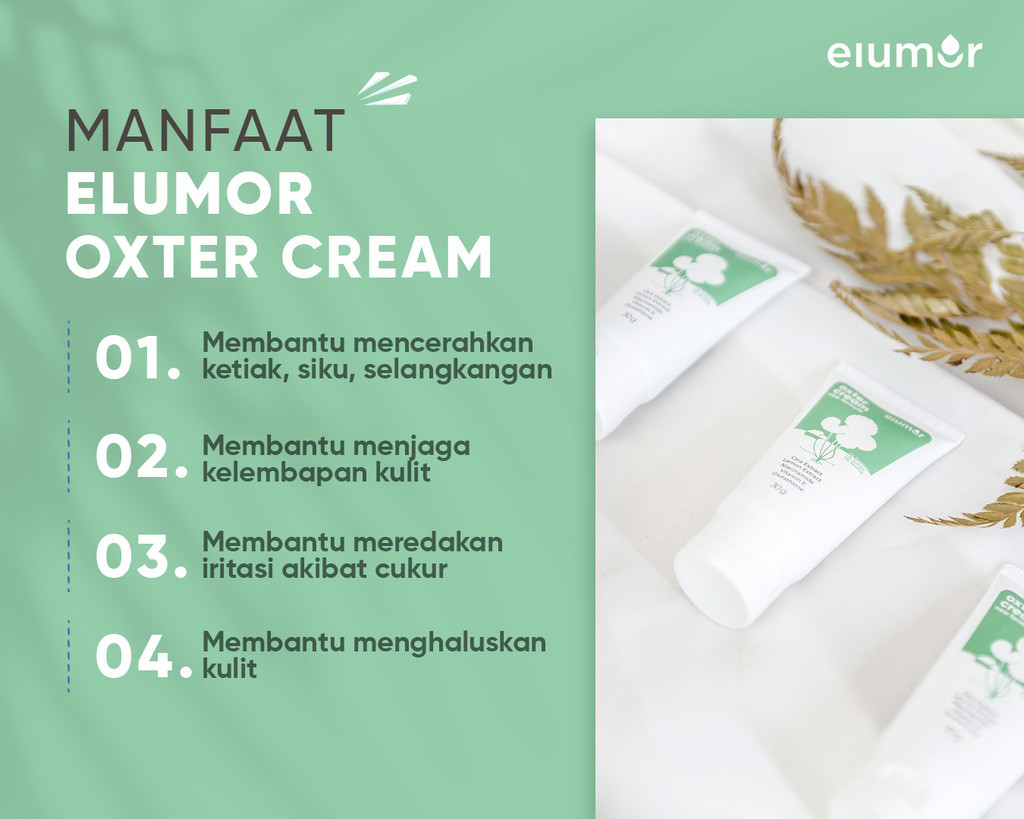 Elumor Oxter Cream New Formula 30g Underarm and Groin Whitening Cream ...