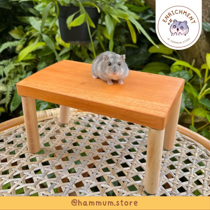 KAYU Wooden Hamster Platform 23 x 13 | Hamster Dining Table | Wooden ...