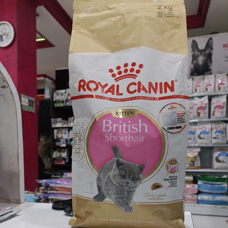 Royal canin kitten British shorthair 2kg healthy nutrition since rc