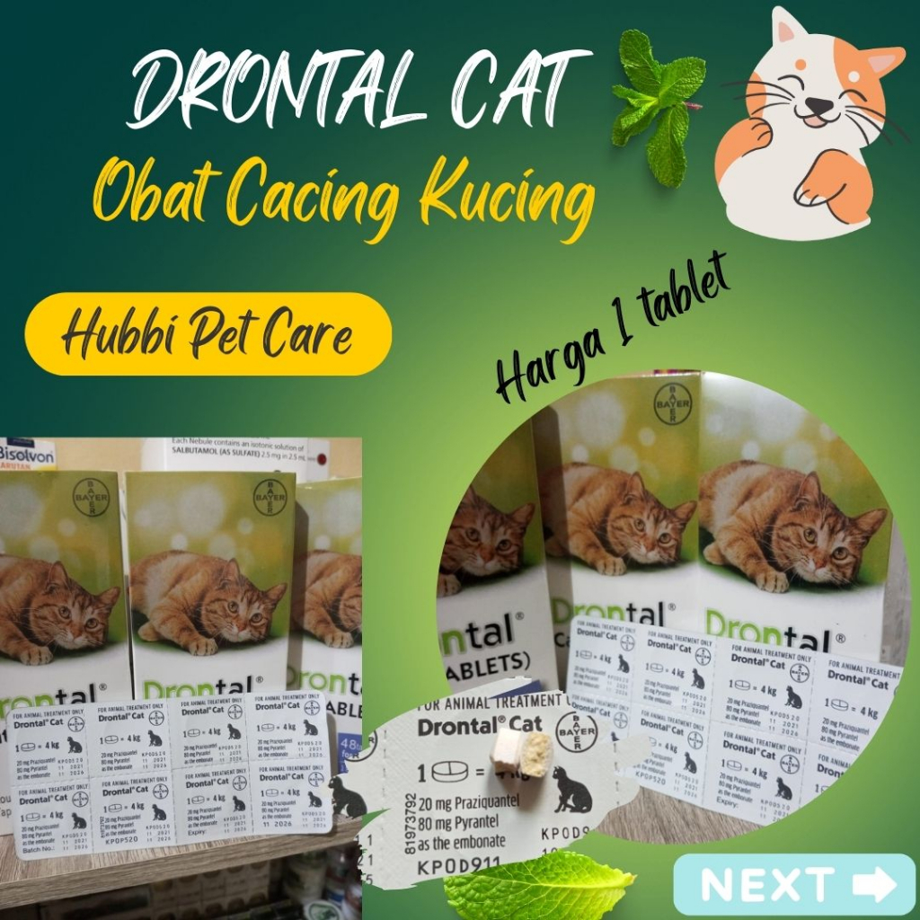 Drontal Cat Medicine For Cat Worms Tablets Shopee Malaysia