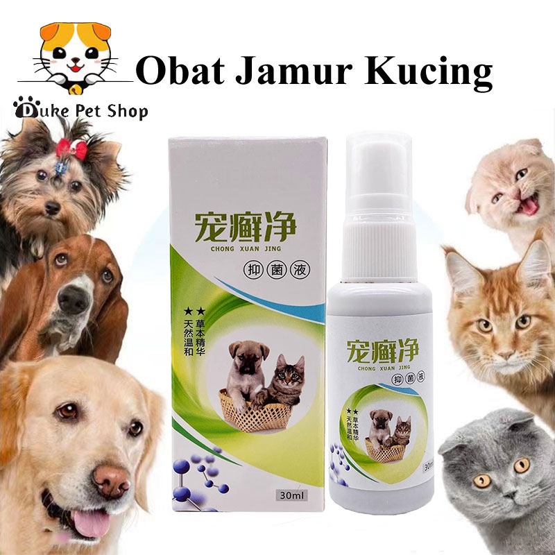 Medicine For Cat Dog Rabbit Fungus Anti Scabies Demodex Impetigo Fungus ...