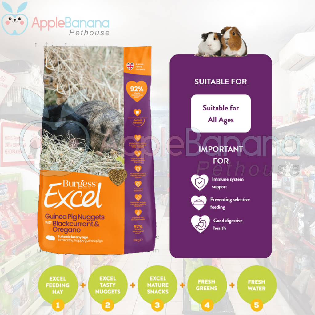 Burgess Guinea Pig Blackcurrant & Oregano 1.5 kg Cavy Marmot Food