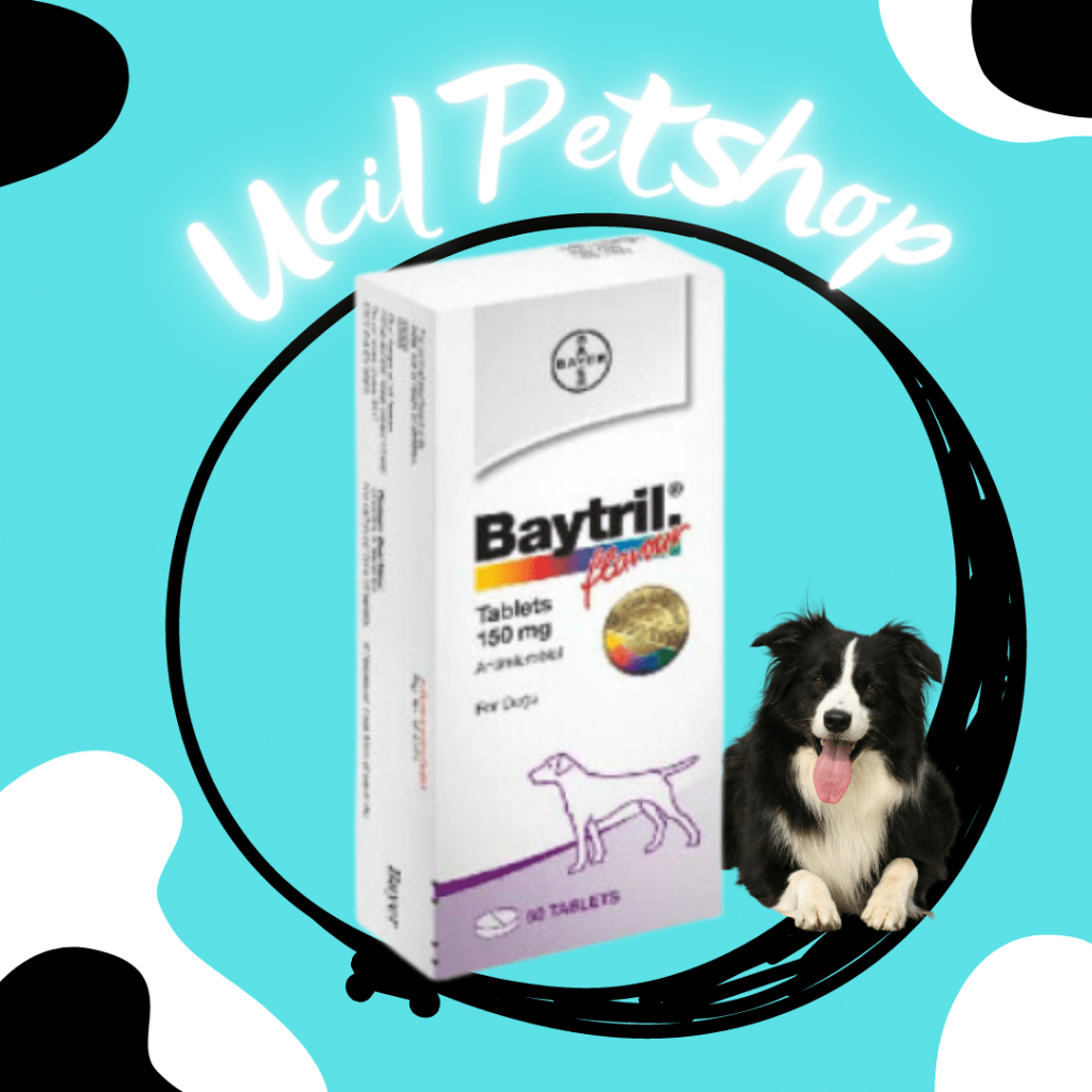 Baytril 150mg 150mg Flavor TABLETS For Dogs Antibiotic Dogs (1 Blister
