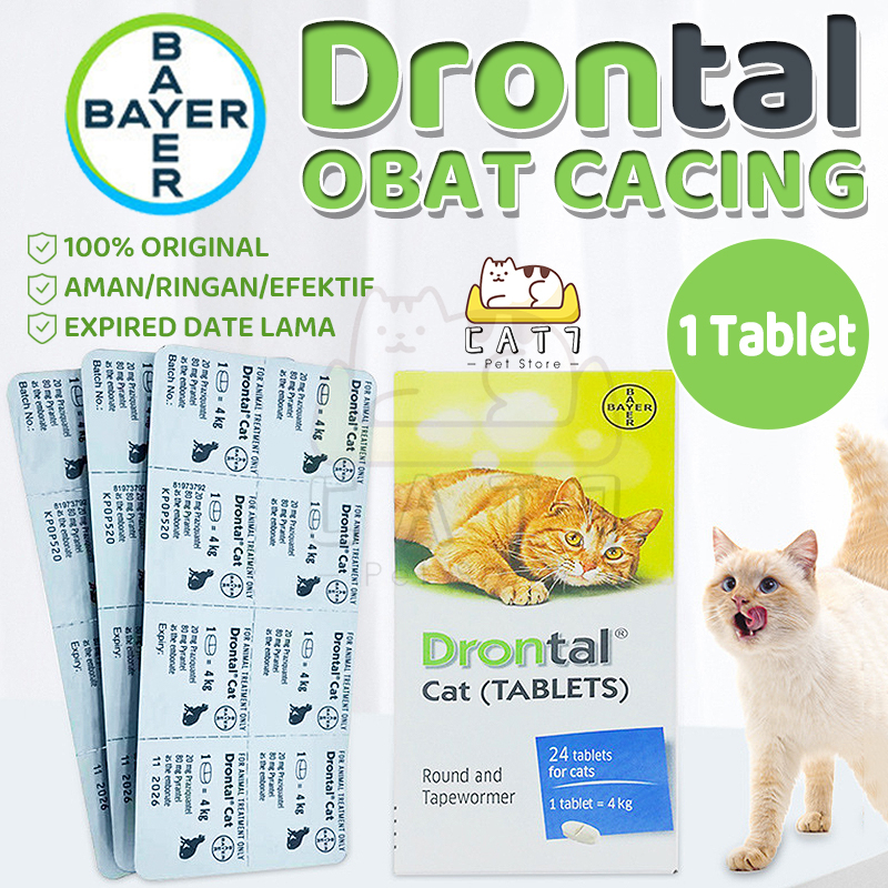 drontal-cat-original-original-cat-worm-medicine-children-kitten