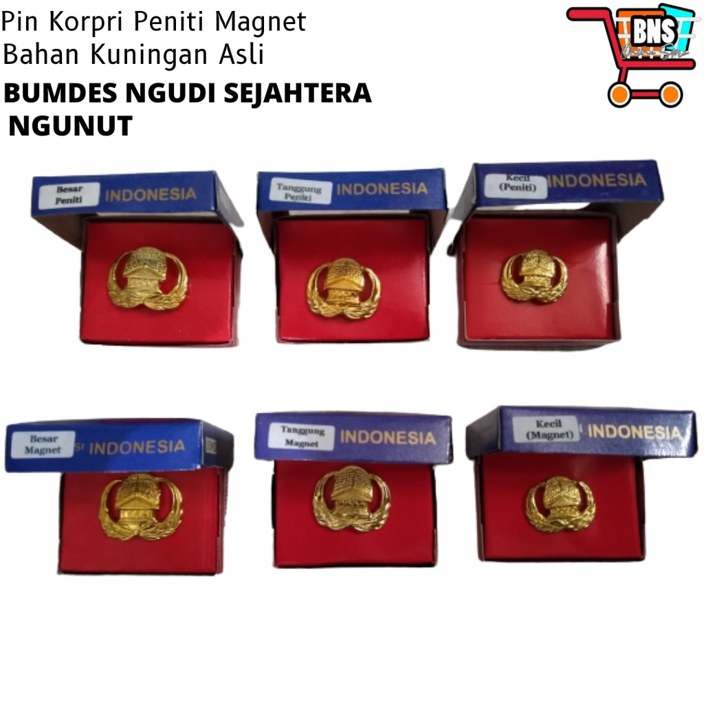 Pin Buttonscarves ASN PIN And Magnet Big Small (LOIND) | Shopee Malaysia