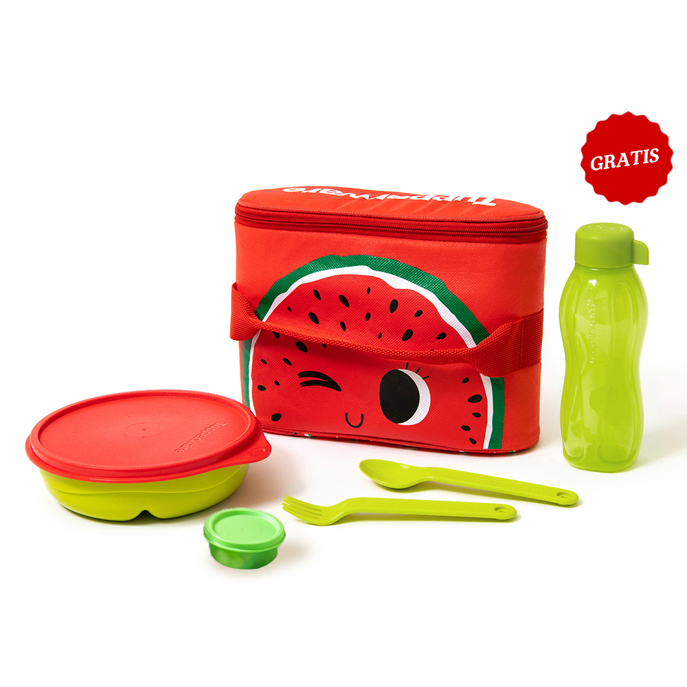 Tupperware KIDS LUNCH | Children's Lunch Container/Children's Lunch Box