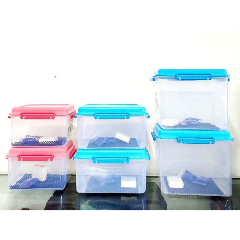 Camera Dry Box Is The Best Camera And Lens Storage From Mushrooms