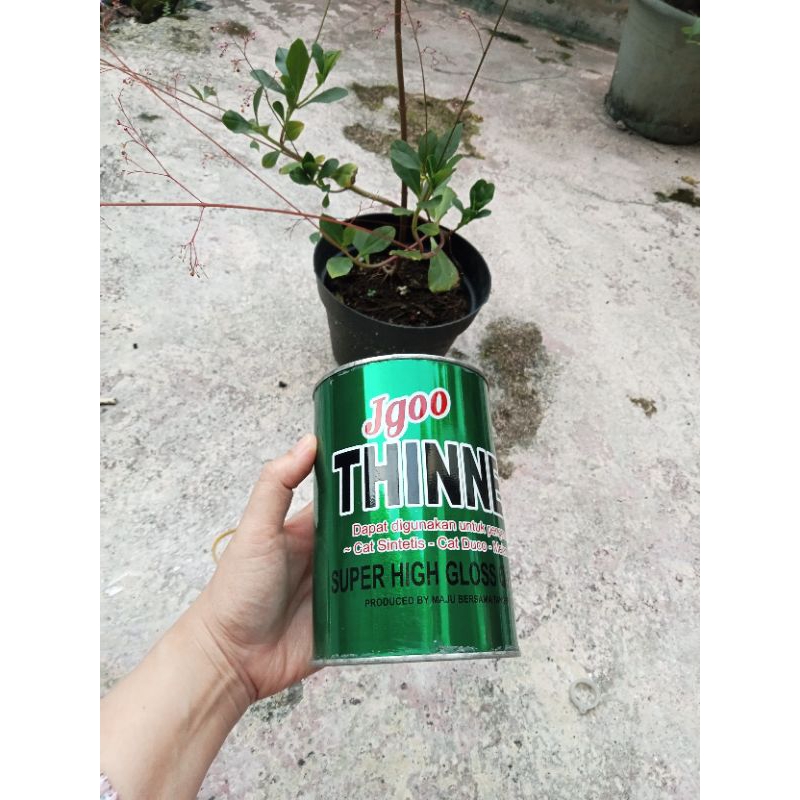 Jagoo THINNER CAP OIL AND IRON PAINT THINNER | Shopee Malaysia
