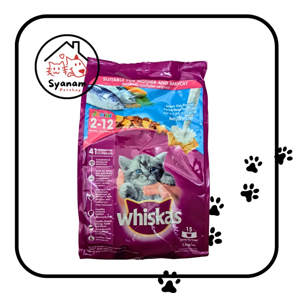 Whiskas Junior Ocean Fish 1.1 kg Shopee Malaysia