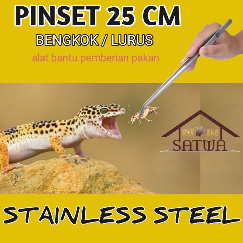 Crickets For Rat Snake Feeding photo