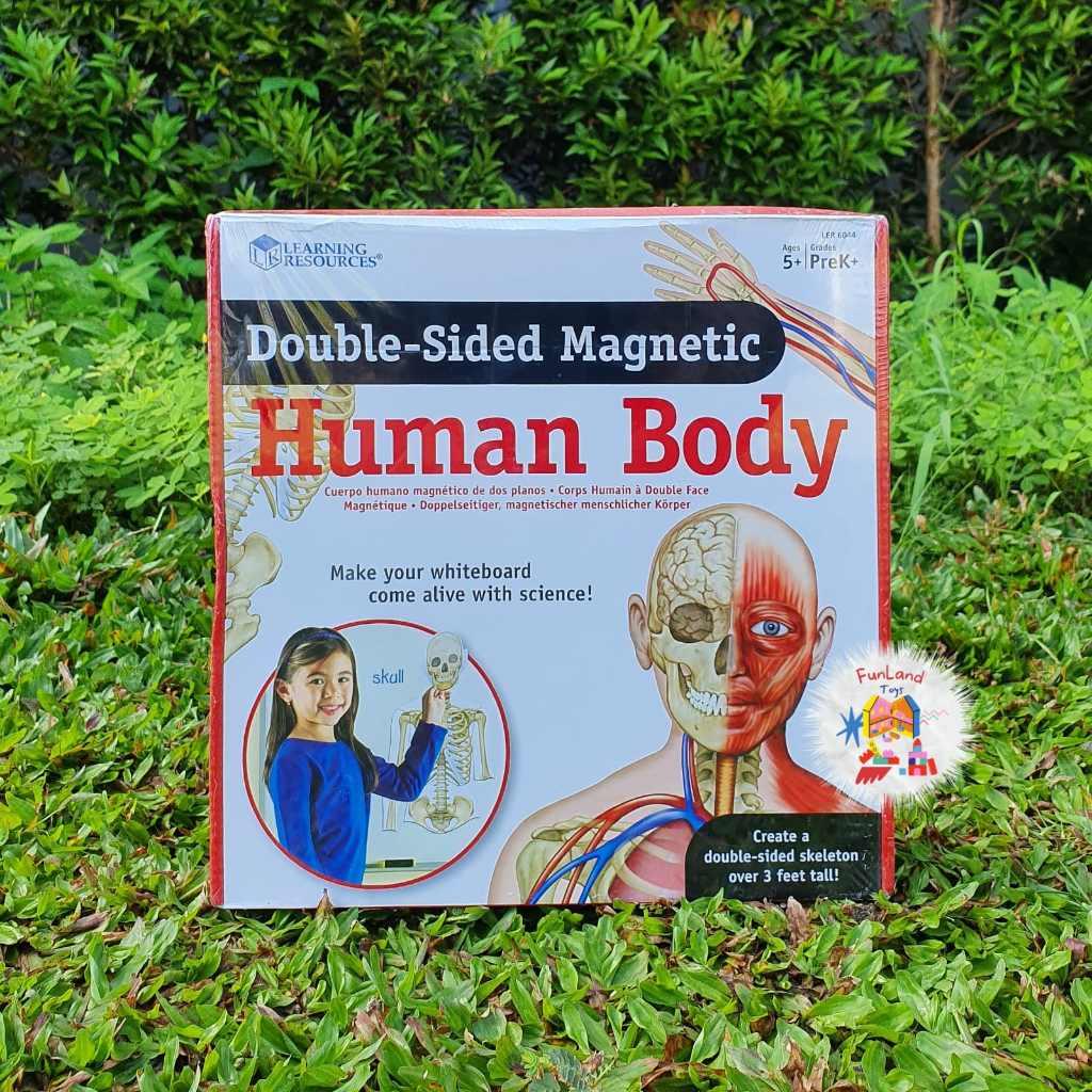 learning-resources-double-sided-magnetic-human-body-shopee-malaysia