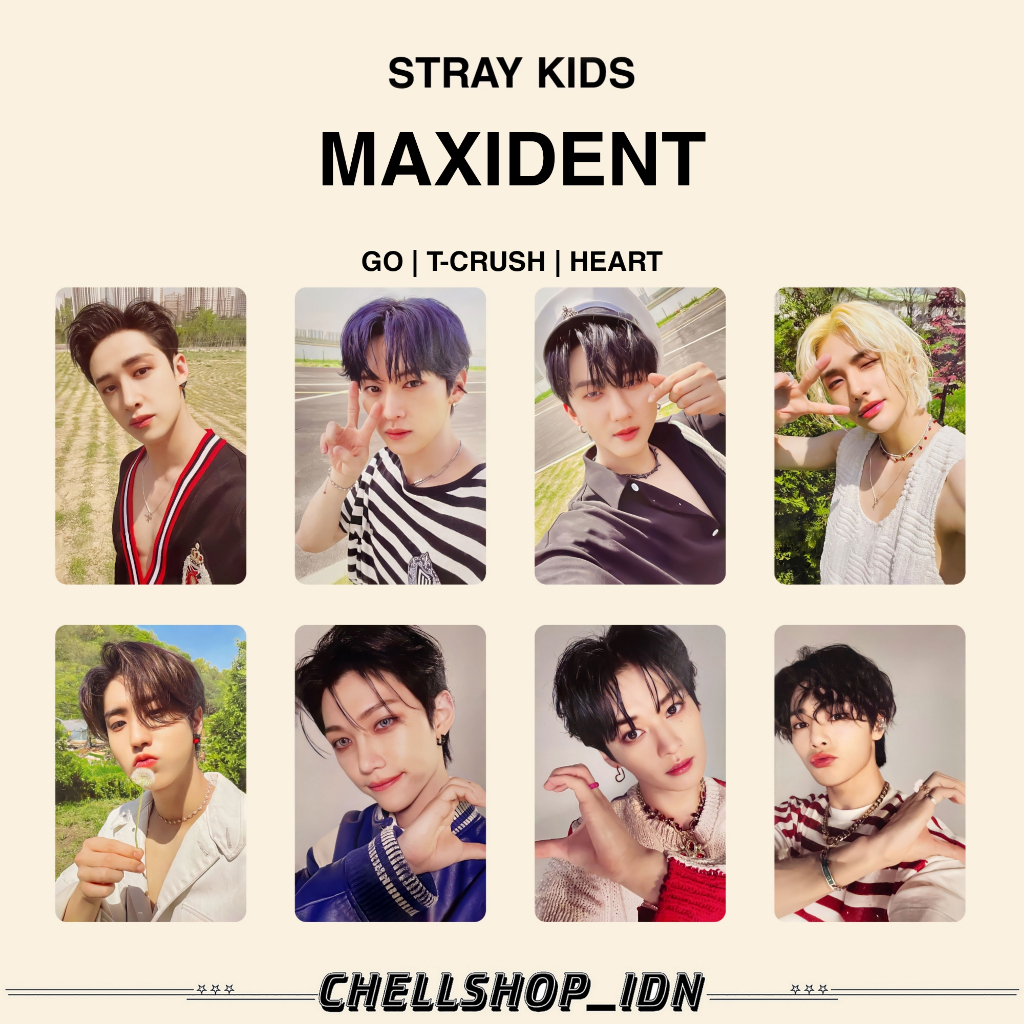 Photocard STRAY KIDS MAXIDENT GO, Order, Heart