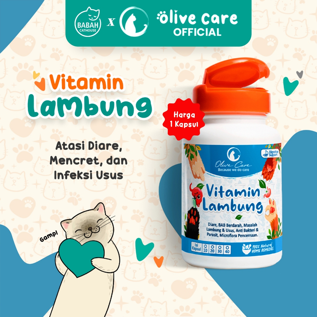 Olive Care Vitamin Cat Digestive Problems For Diarrhea Attracts