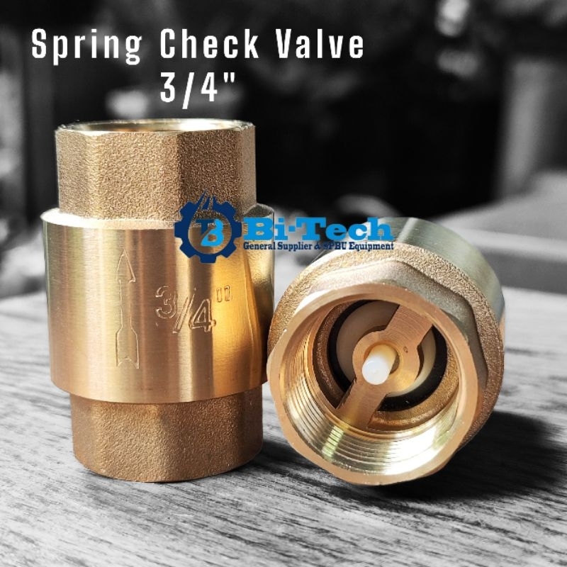 Valve AIR SPRING CHECK VALVE 3/4" Vertical "VALVE VALVE/Tuzen VALVE