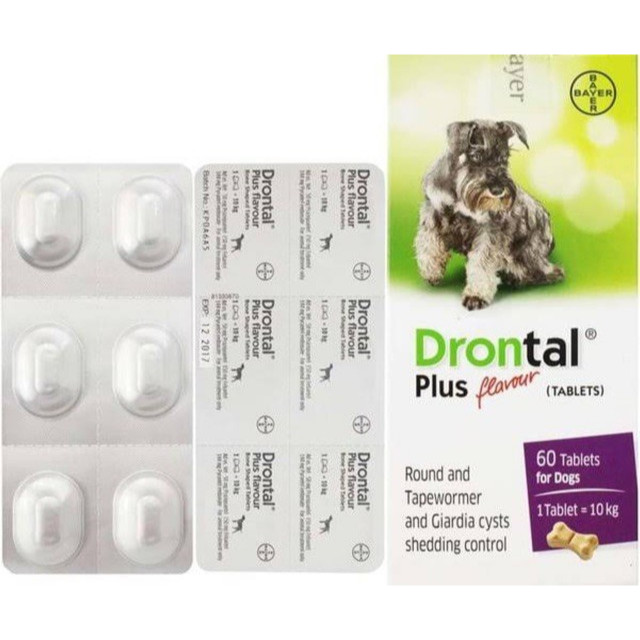 Drontal DOG Worm Medicine DOGY Shopee Malaysia