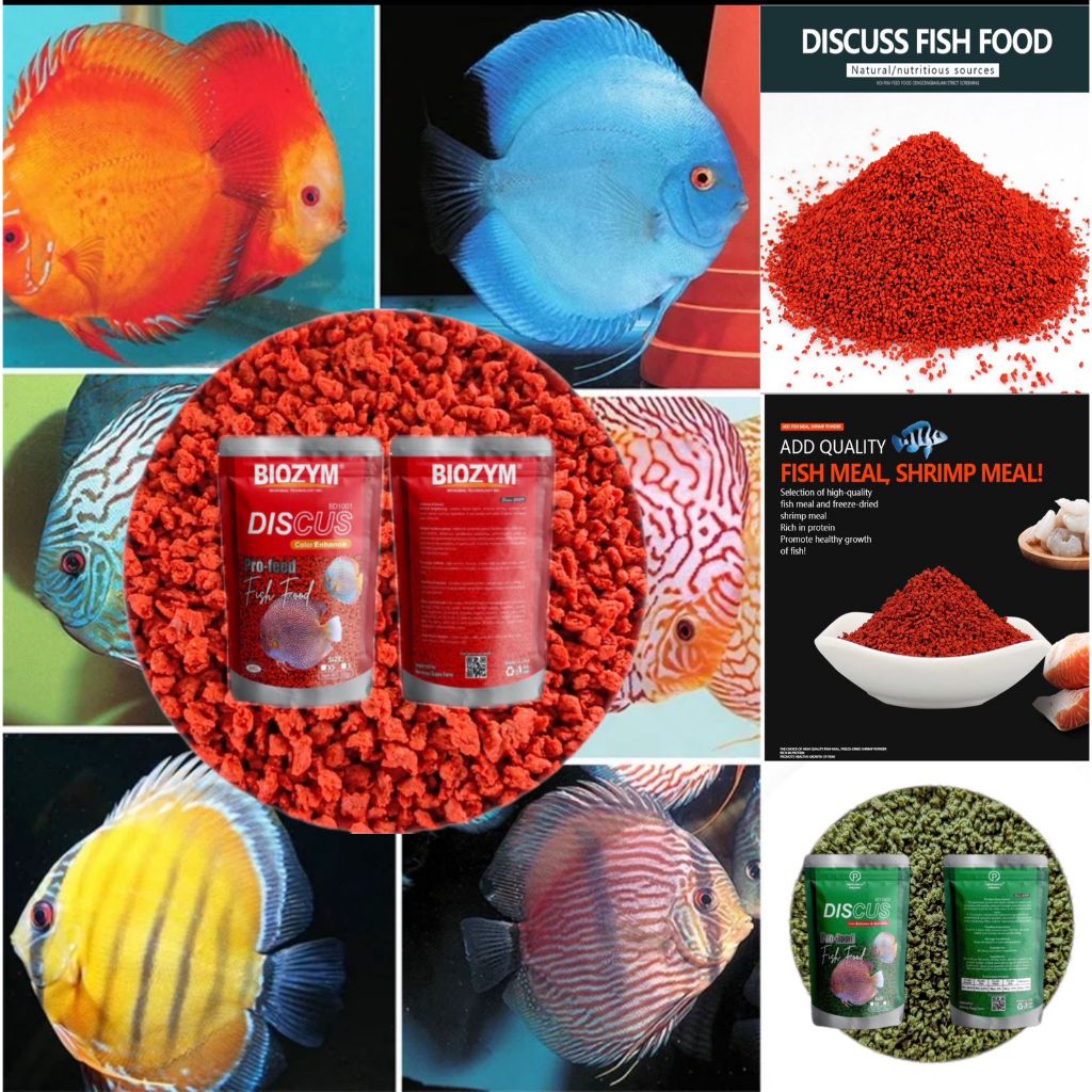 Discus Fish Pellets/Manfish Biozym/Optimus Prime Net 50 Grams ...