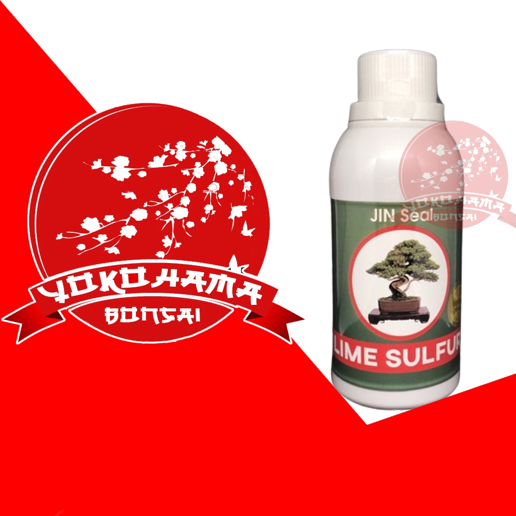 KAYU PUTIH Yokohama bonsaiLime Sulfur Jin Seal bonsai Medicine Dead
